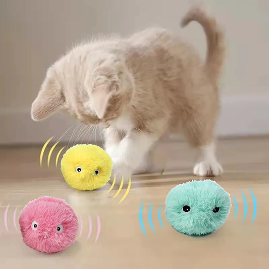 Squeaky Smart Cat Ball
