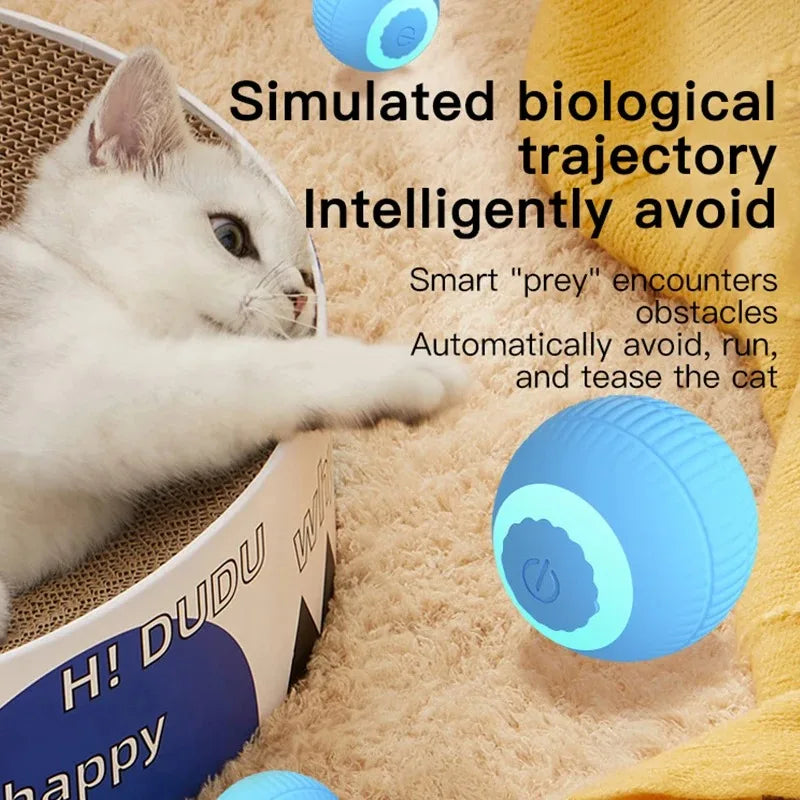 Magic Motion Cat Ball