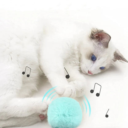 Squeaky Smart Cat Ball