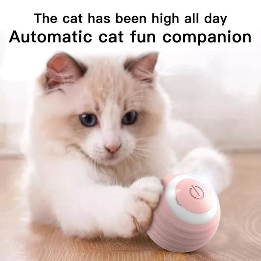 Magic Motion Cat Ball