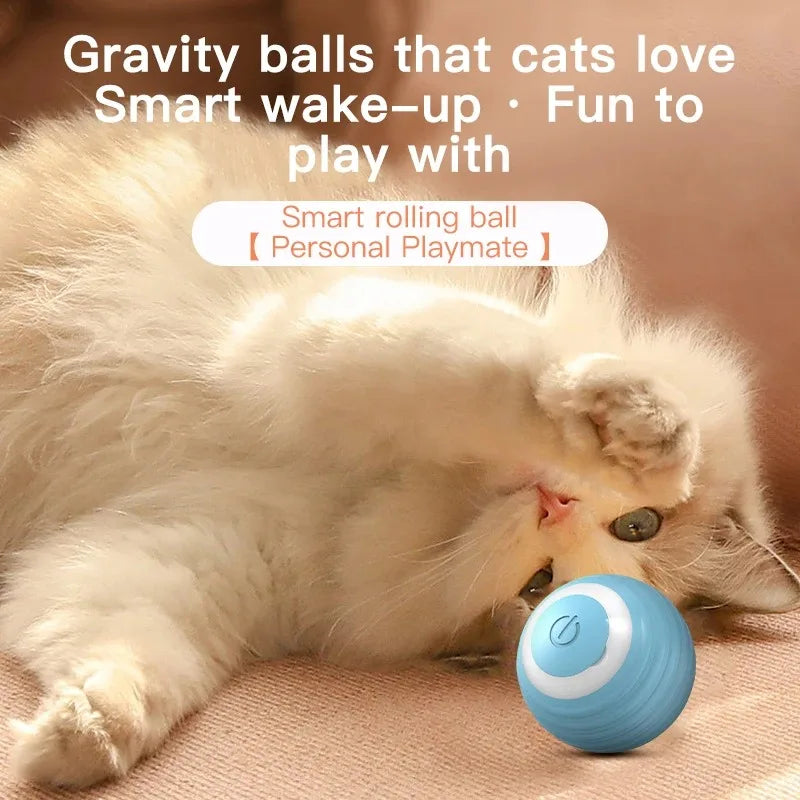 Magic Motion Cat Ball