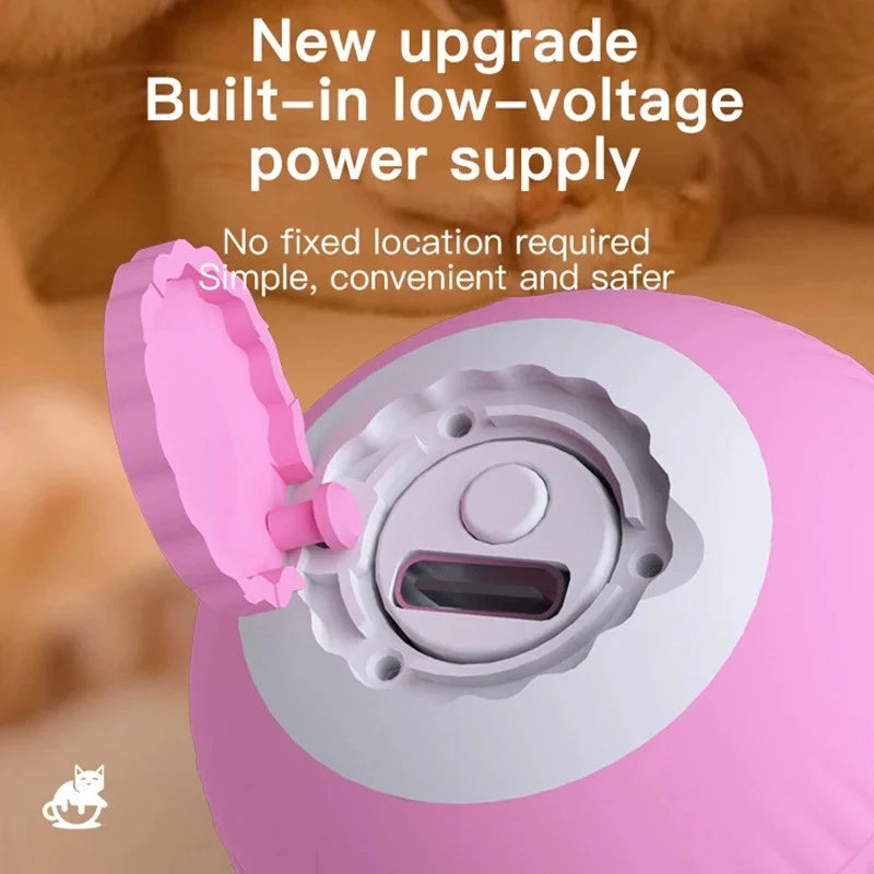 Magic Motion Cat Ball